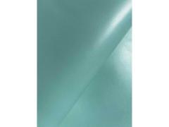 Pelle di vitello liscio verde acqua marina