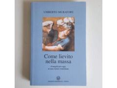Come Lievito Nella Massa - Evangelizzare In Visione Rosminiana - Muratore - 2007