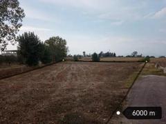 Terreno edificabile