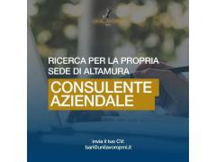 consulente aziendale