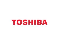 Toshiba Aplio, Xario, Viamo ASSISTENZA