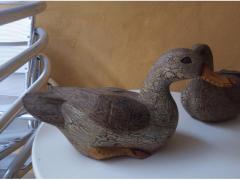 Papere in legno