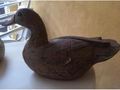 Papere in legno