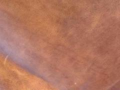 Pelle di vitello a vegetale ingrasso al sego anilina brandy - SP. 1,8