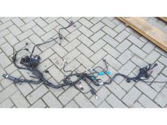 Camblaggio Triumph Speed triple 955i anno 1999