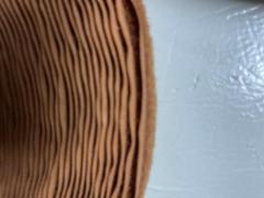 Velcro colore marrone da cucire altezza 20 MM