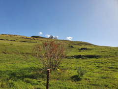 Quote 2ha terreno agricolo irriguo