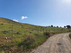 Quote 2ha terreno agricolo irriguo