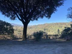 Chiusi - Città degli Etruschi