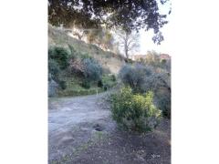 Chiusi - Città degli Etruschi