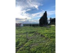 TERRENO DEST. EDIFICABILE LENTINI (SR), CONTRADA ORTO ARANCI