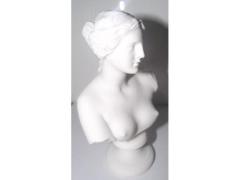 Busto statua Afrodite Venere