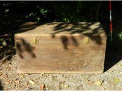Vecchio baule in legno