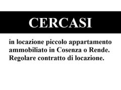 Cercasi piccolo appartamento a Rende/Cosenza