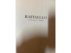 Raffaello. La pittura, i disegni