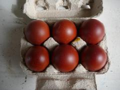 Marans