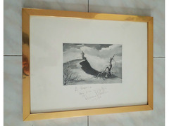 Stampa incorniciata  foto quadro di Romano Mussolini con dedica  e autografo ,
