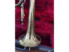 tromba del 1966