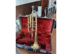 tromba del 1966