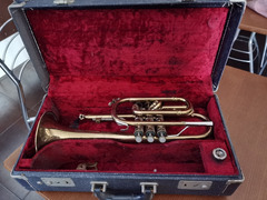 tromba del 1966