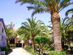 Mare Sicilia a Tindari - Oliveri (ME) fronte Eolie