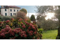 San Siro (CO) bilocale con giardino a lago