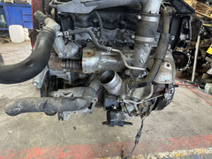 MOTORE NISSAN SIGLA YD25