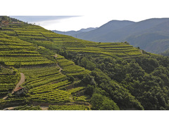 Cà Dina | Vacanze nella Val di Cembra in Trentino