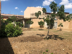 Casa indipendente da ristrutturare con ampio giardino.