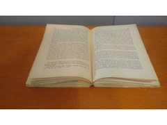 La guerra giudaica Volume II Libri I, II, III. Flavio Giuseppe