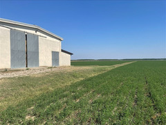 Terreno  Agricolo di 8 ha con pozzo e stalla a Sissa Trecasali