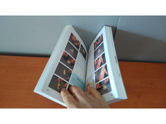 Nuovo grande libro delle sculture