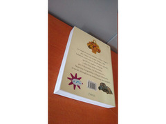 Nuovo grande libro delle sculture