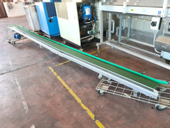 TRASPORTATORE LUNGO X MATERIE PRIME USATO