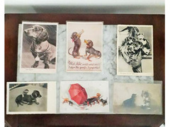 Mini collezione Cani Bassotti cartoline d'epoca