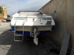 Barca motorizzata Volvo Penta