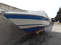 Barca motorizzata Volvo Penta