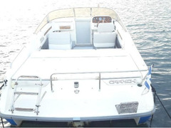Barca motorizzata Volvo Penta