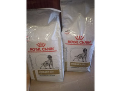 Royal Canin Urinary S/O cibo per cani