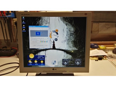 Monitor Lcd 17 Pollici Lg  L1715S