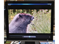 Monitor Lcd 19 Pollici Samsung , Model Sync Master 931C