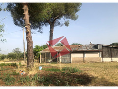 TERRENO CON RUSTICO - GALLICANO