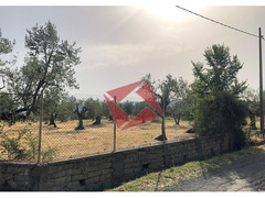TERRENO CON RUSTICO - GALLICANO