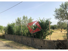 TERRENO CON RUSTICO - GALLICANO