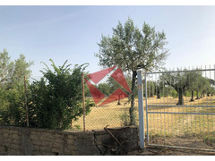 TERRENO CON RUSTICO - GALLICANO