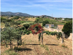 TERRENO AGRICOLO PIANEGGIANTE 3.900 MQ - SAN CESAREO