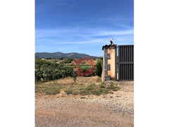 TERRENO AGRICOLO PIANEGGIANTE 3.900 MQ - SAN CESAREO