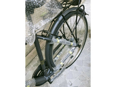 Bicicletta Legnano modello Forte dei Marmi