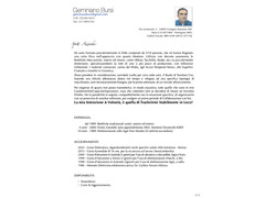 RETTIFICATORE SENIOR