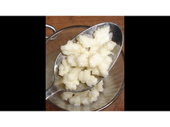 cerco grani di Kefir ("yogurt russo") a Torino